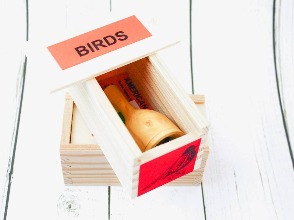 NEW MOREL american robin bird calls in red